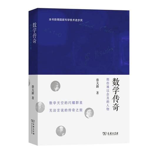 数学传奇：那些难以企及的人物 商品图0