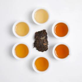 为什么茶有这么多味道？看完秒懂！
