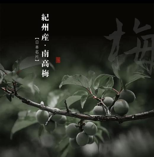 【连续20年金奖】海利欧斯酒造黑糖梅酒 日本原瓶进口 15%vol 商品图4