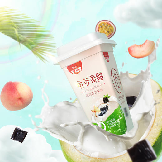 生和堂龟苓青椰白桃百香果味390g(T) 商品图2