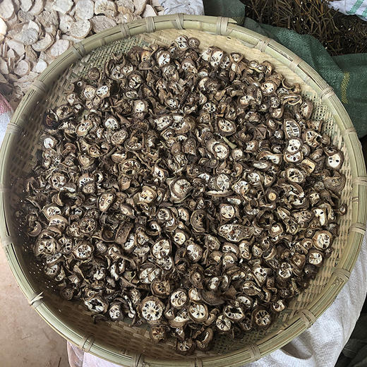 八月扎  八月札  八月瓜  预知子 商品图0