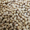 【宁商协作】山阳县 五谷杂粮 黄豆500g/袋 商品缩略图3