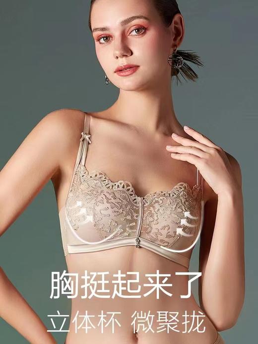 【裴蓓同款轻柔杯】安莉芳蕾丝无钢圈文胸女小胸聚拢内衣EB00519 商品图2