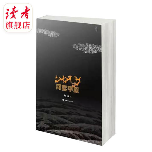 《河套平原》 写实小说 向春/著 甘肃文化出版社 商品图1