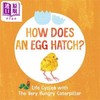 【中商原版】Life Cycles The Very Hungry Caterpillar Egg Hatch 艾瑞卡尔蛋的孵化过程 英文原版儿童绘本 早教纸板书 商品缩略图0