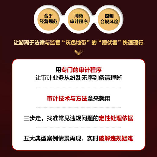 合规型内部审计：*发现违规行为，实时化解合规风险 审计程序方法 违规疑难审查 预见风险 财务管理 审计实务 商品图3