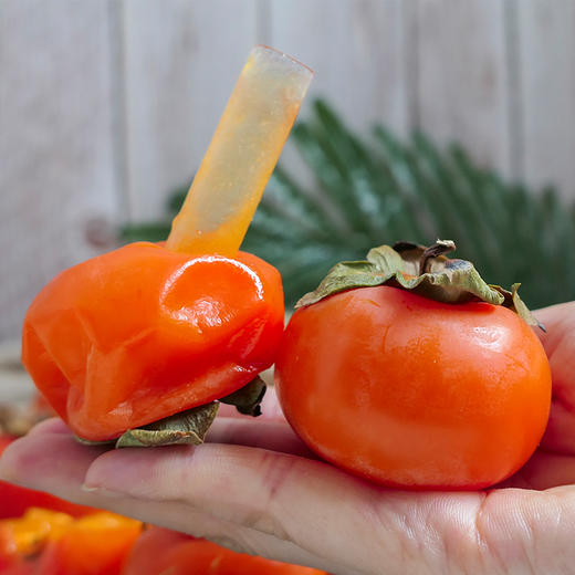 【心想“柿”成】临潼火晶柿子 商品图0