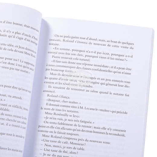 【中商原版】法文版 莫泊桑 皮埃尔与让 Pierre et Jean 法文原版 Guy de Maupassant 商品图3