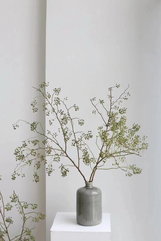 山归来【四季不只诗和远方，还有这人间草木】简小姐精选ins风小清新花材 山归来2枝 顺丰冷链包邮 下单5天发货 商品图3