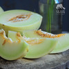 生态沙漠蜜瓜 | 合作生产*Eco-sweet melon of desert |Partner Production 商品缩略图3
