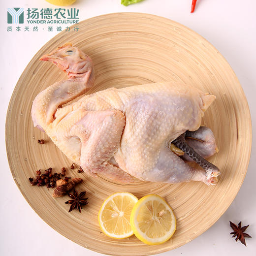 【口碑爆品，欢迎品鉴】扬德林下土鸡（1000g/只） 商品图0