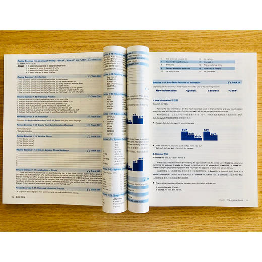【新东方】美语发音秘诀 美语发音的13个秘诀 商品图3