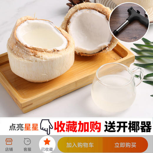 【码帮严选】香水奶椰  海南文昌椰青新鲜椰子孕妇水果牛奶热带当季椰汁整箱 商品图4