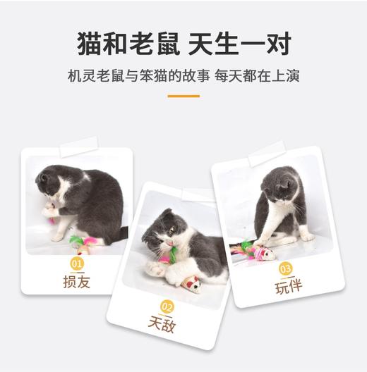 宠物剑麻老鼠玩具 带羽毛 内置响石 趣味发声 磨牙磨爪 商品图4