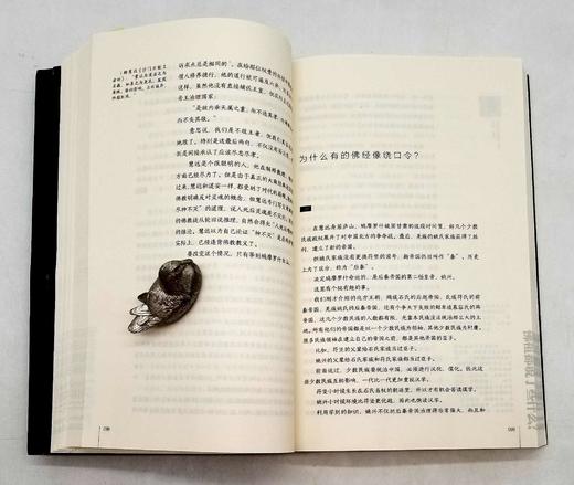 《佛祖都说了什么？》，平装，小16开，林欣浩著，长江出版社2018年版，444页，定价58，售价23元。品相95成。

本书用轻松易懂的写法，介绍了汉传佛教的历史。六道轮回是否存在？罗汉和菩萨谁的级别 商品图12