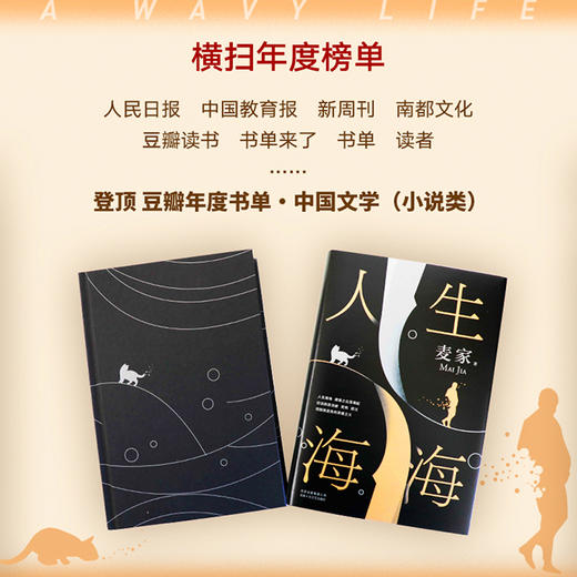 人生海海麦家茅盾文学奖得主风声解密暗算豆瓣年度中国小说文学书籍畅销书杨洋董卿朗读者正版包邮中国文学 商品图2