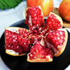 四川突尼斯软籽石榴 商品缩略图0
