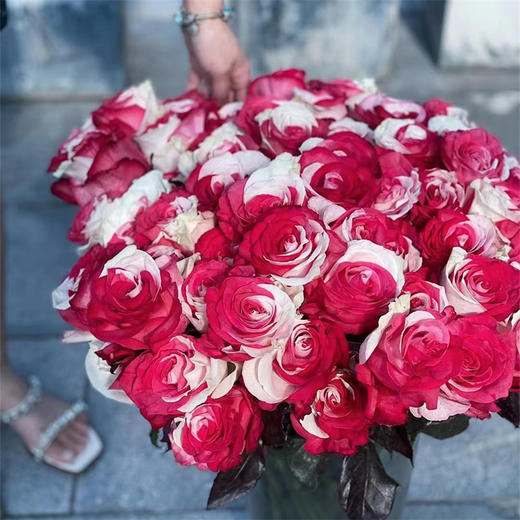 预售厄瓜多尔进口染色花材RedWhite红白炙热玫瑰花10支 商品图2