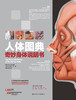 人体图典：奇妙身体说明书  2022年8月科普 9787117325080 商品缩略图1