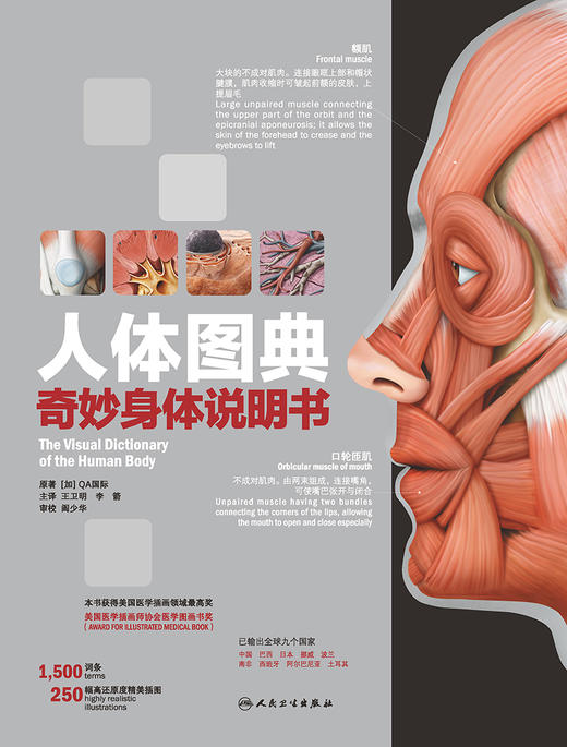 人体图典：奇妙身体说明书  2022年8月科普 9787117325080 商品图1