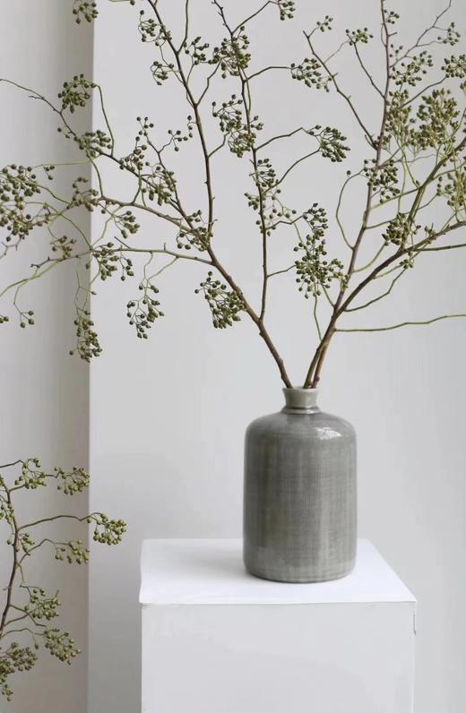山归来【四季不只诗和远方，还有这人间草木】简小姐精选ins风小清新花材 山归来2枝 顺丰冷链包邮 下单5天发货 商品图8