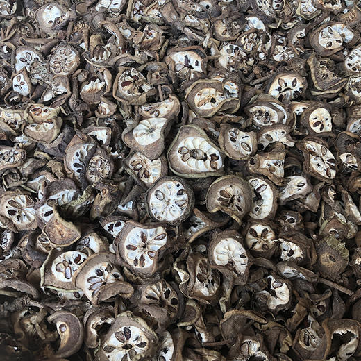 八月扎  八月札  八月瓜  预知子 商品图2