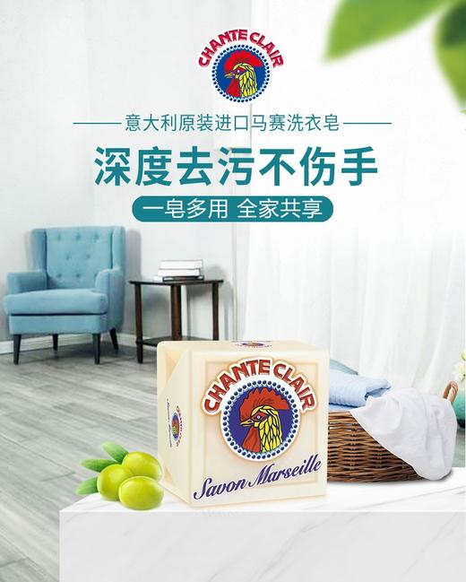 【天然植萃】意大利进口公鸡头洗衣皂 250g | 贴身好物 温和不刺激 商品图2