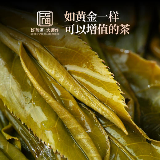 【最后1饼】【茶王地.老班章】2022年头春普洱生茶云南勐海老班章茶王树古树勐海茶区357g  单饼配铁盒 商品图2