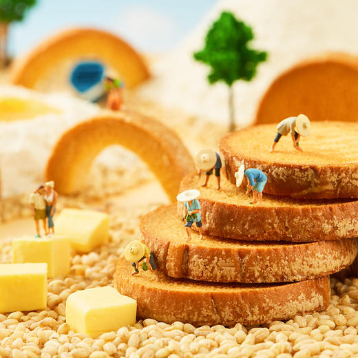 【宅猫日记】大黄油脆吐司早餐烤面包干网红爆款充饥点心下午茶零食45g*6盒 商品图2