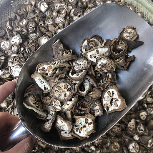 八月扎  八月札  八月瓜  预知子 商品图4