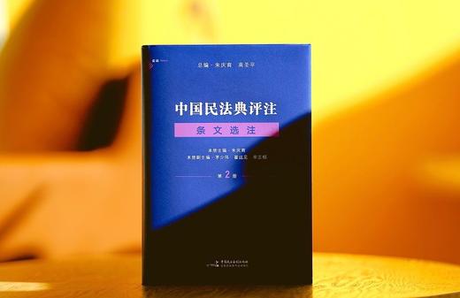 (仓发) 中国民法典评注·条文选注（第二册）合同编 麦读法律24/中国民主法制出版社/朱庆育/9787516226957 商品图2