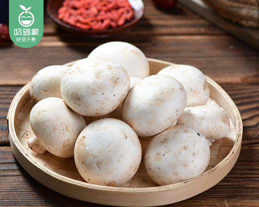 【叼鲜蔬】漳州新鲜白蘑菇/1份（约230g） 商品图1