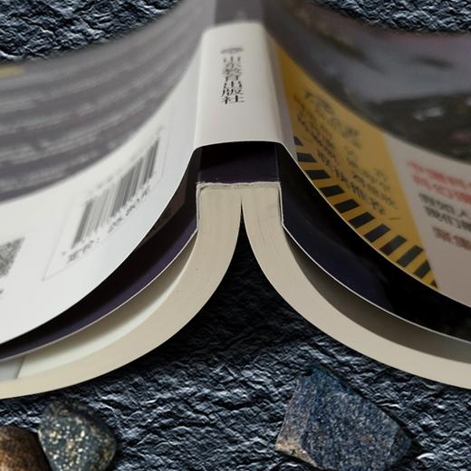 (仓发) 故乡明/科幻文学群星榜 中国科幻银河奖新人奖 冷湖奖得主王诺诺作品/山东教育出版社/王诺诺/9787570105755 商品图7