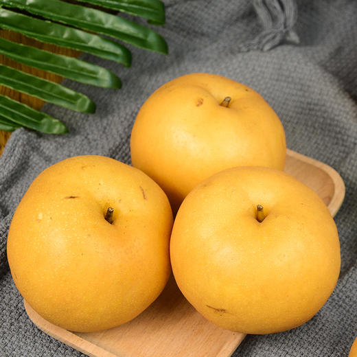 【汁水炮弹】莱西丰水梨 商品图2