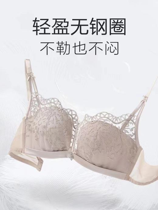 【裴蓓同款轻柔杯】安莉芳蕾丝无钢圈文胸女小胸聚拢内衣EB00519 商品图1