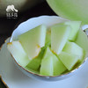 生态沙漠蜜瓜 | 合作生产*Eco-sweet melon of desert |Partner Production 商品缩略图4