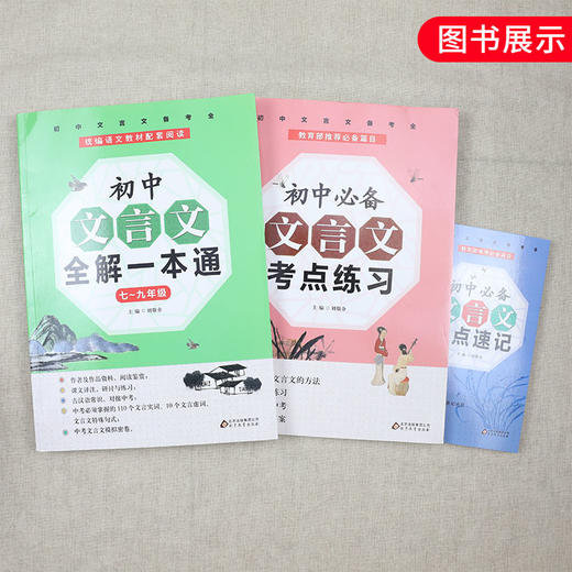 初中文言文全解一本通 初中文言文考点练习 赠文言文考点速记 全国通用789年级初中文言文备考用书解析考点全 正版 商品图4