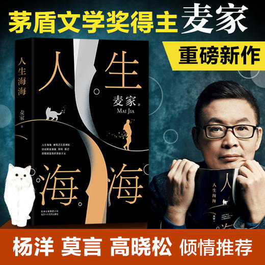 人生海海麦家茅盾文学奖得主风声解密暗算豆瓣年度中国小说文学书籍畅销书杨洋董卿朗读者正版包邮中国文学 商品图0