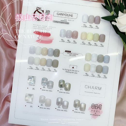 CS【秒杀价】24色银山云母白 商品图0