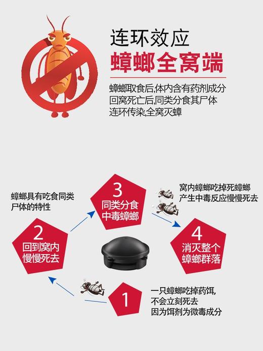 【取代传统蟑螂药 安全防触碰】日本小黑屋小强蟑螂药家用无毒一窝全窝端绝杀大小通杀强力一扫净 商品图2