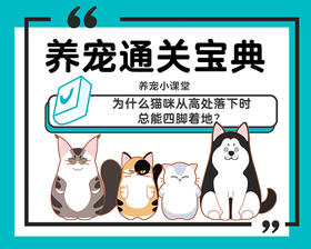 为什么猫咪从高处落下时，总能四脚着地？