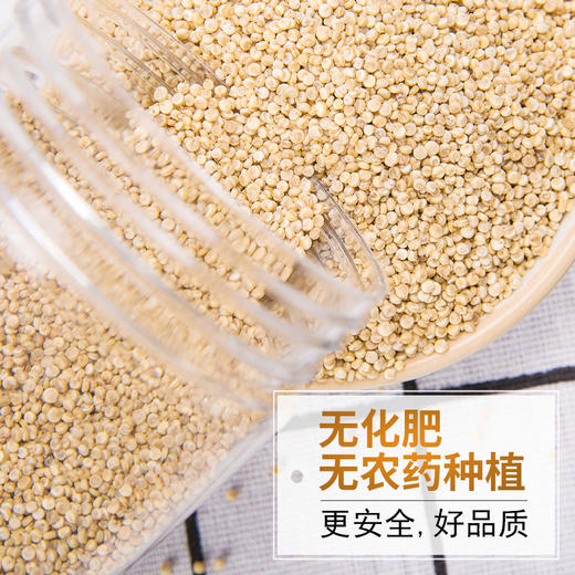 【 塞北粮仓·藜麦米】内蒙古藜麦  优质严选 代餐杂粮糙米饭 380g*2 商品图4