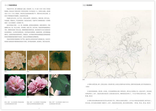 《宋元之眼·历代花鸟名品临摹技法丛书》·元代设色花鸟 墨花墨禽 宋代花鸟小品 花卉 蔬果 鳞介禽鸟 白描入门国画画法——中国美术学院出版社 商品图2
