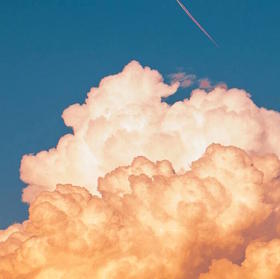 世间最愚蠢的事，就是不停地讲道理