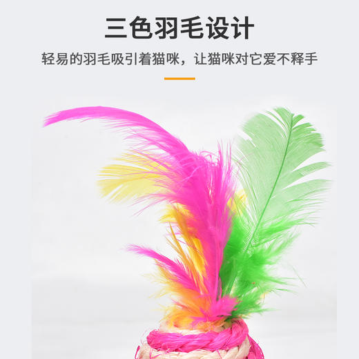 宠物剑麻老鼠玩具 带羽毛 内置响石 趣味发声 磨牙磨爪 商品图2