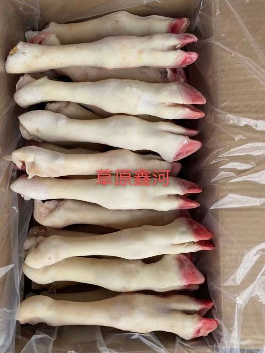 草原鑫合羊爪蹄1千克 商品图5