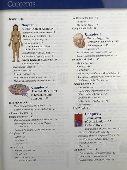 医学经典人体解剖（第二版） 数百幅彩色插图 精装大16开 商品图5