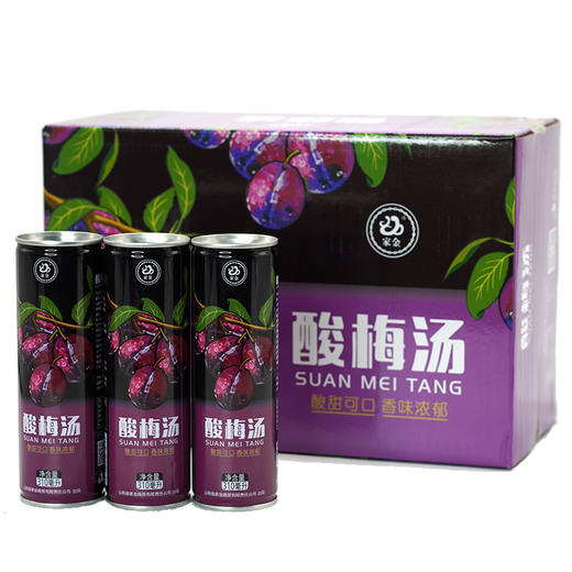 【宁商协作】山阳县 家金酸梅汤 310ml/罐 商品图0