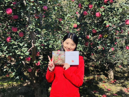 咸阳马栏红苹果12枚装 商品图3