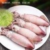 【北海湾】海兔子满籽新鲜海兔带籽笔管鱼500g*2袋 商品缩略图5